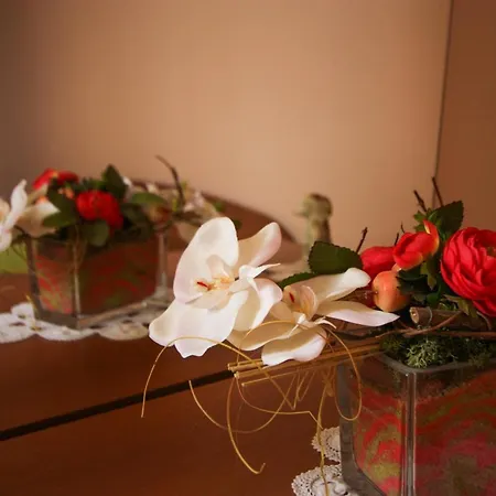 Apartament Zana